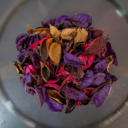 Coastal Charm Spacious 3-bedroom Retreat Steps From The